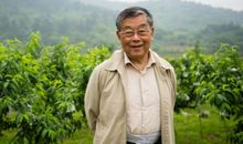 《赵亚夫》观后感