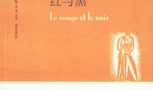 红与黑读后感500字