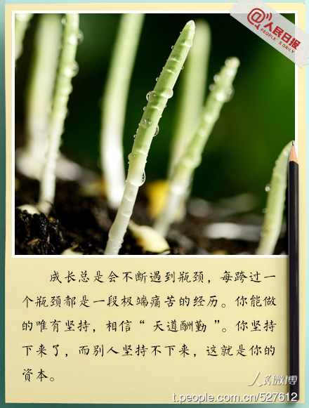 你坚持不懈，这是你的资本