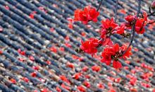 高中作文：“美”由心生