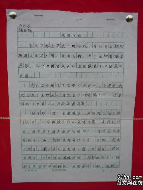 我希望作文