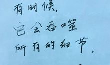 追风筝的人摘抄