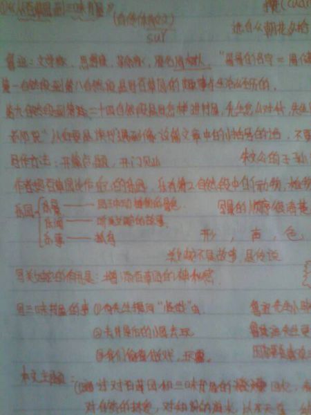 好的单词和句子