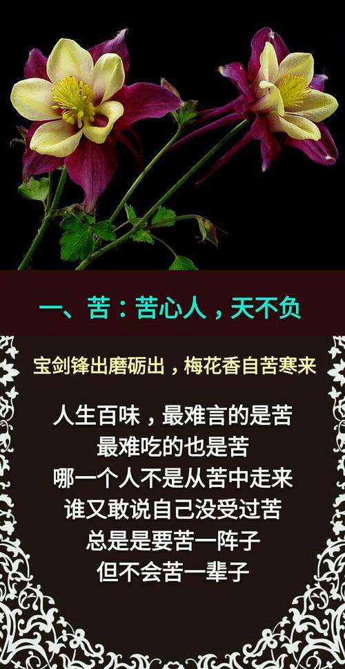 生命就是宽容