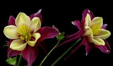 人生就是忍忍再看