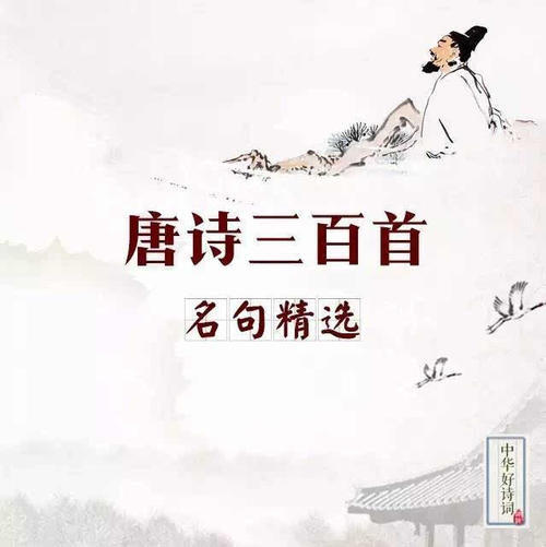 关于读《唐诗三百首》的思考