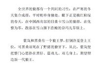 狼王梦读后感500字