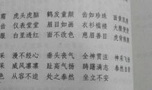 形容做事认真的成语