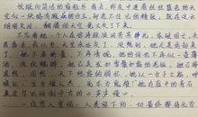 300字美文摘抄