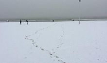 朗读者郭琨舒婷《献给我的同代人》