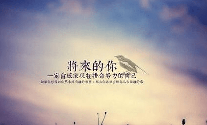 生命的句子