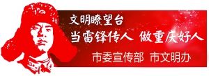 一系列描述雷锋精神的句子