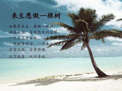 好的现代诗歌