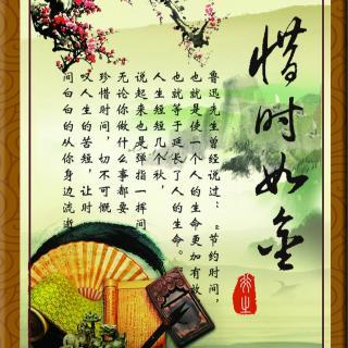 金涛圆明的名言