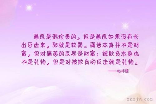 描述珍贵的句子