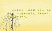 关于收获的句子