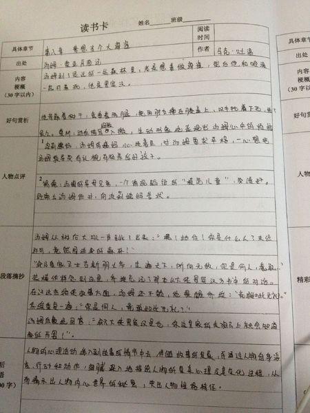 汤姆·索亚历险记300字