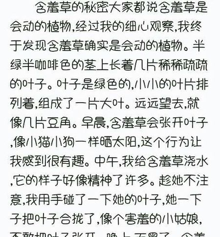 可爱的含羞草组成