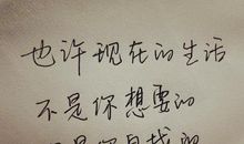 关于感悟的句子