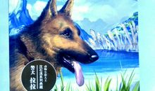 《警犬啦啦》读后感