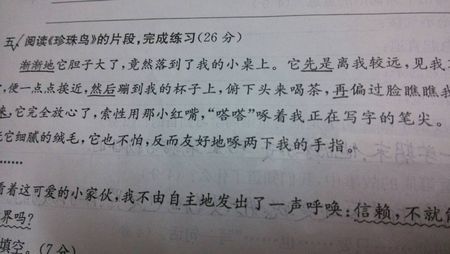 一句话美丽