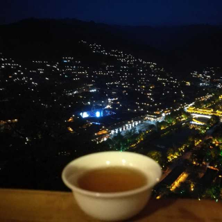 鉴珍：晚茶