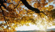 简贞：雪夜，无尽的阅读