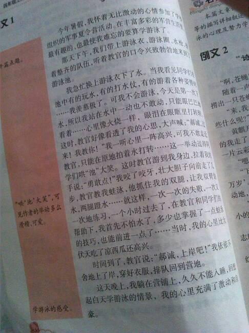比赛组成：游泳比赛