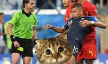 你可以败但是要败得漂亮