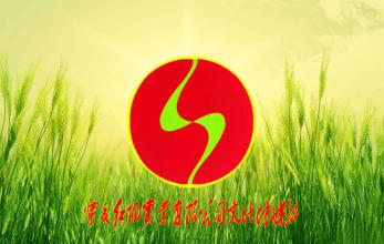毛中强的名言