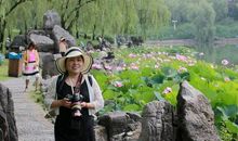 刘将孙：踏莎行·闲游