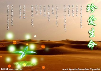 人生箴言