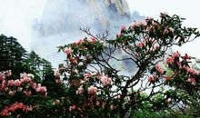 徐昌图：临江仙·饮散离亭西去