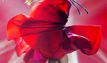 张洁：漫长的路