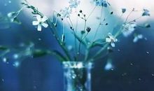 2015最精辟的句子