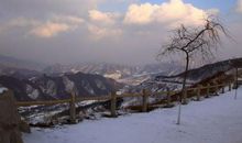 描写北国风光的成语