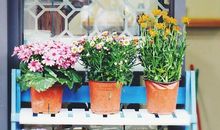 威赫兹里特名言