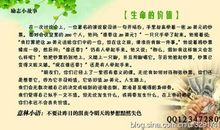 励志故事：躺着思想，不如站起行动