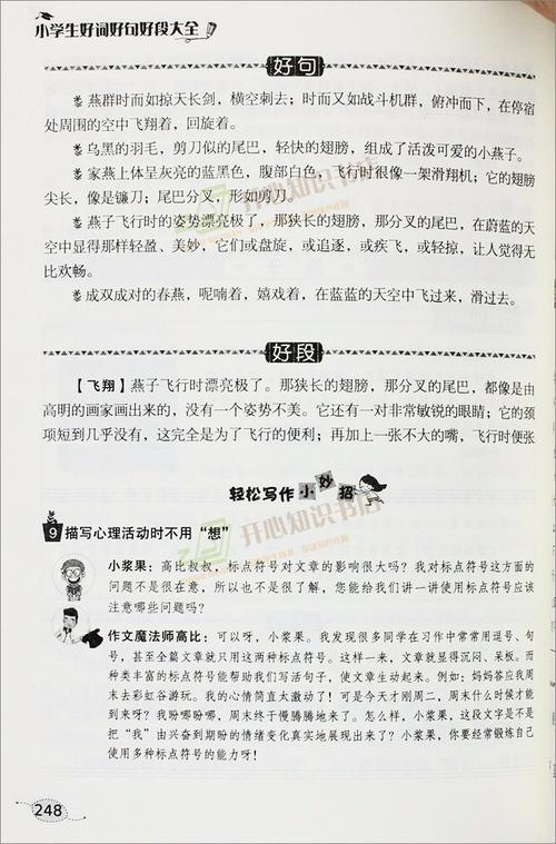 小豆豆在窗边