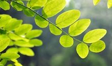 很漂亮的五句话，适合放在朋友圈