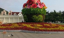 游我村的人民广场作文