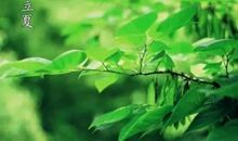 描写植物的诗句