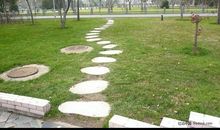 描写公园草坪的段落