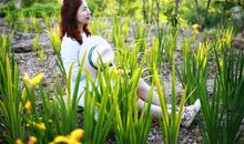 游子乡情 赤子情怀——《陌上花开》读后感