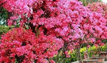 新的一年，请做到这三条