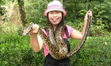 李存葆：最后的野象谷