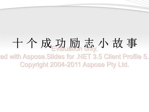 十个经典的成功故事