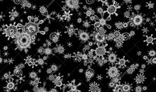 日记：冰冷雪花