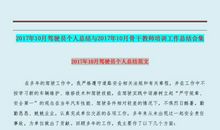 驾驶员年终工作自我总结范文