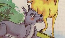 读《伊索寓言》之《受伤的狐狸》有感